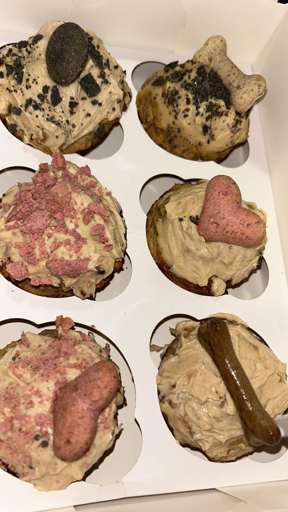 Doggy pupcakes (4)